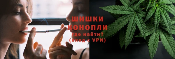 дживик Волоколамск